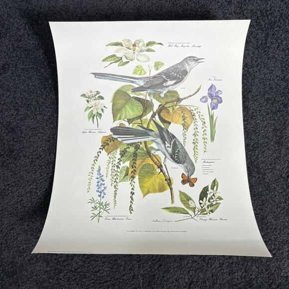 Arthur Singer Portfolio of Bird Prints Complete Set (8) - Vintage Botanical Art - Picture 5 of 16